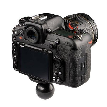 RAM® Ball Adapter with Round Plate and 1/4"-20 Threaded Stud - C Size